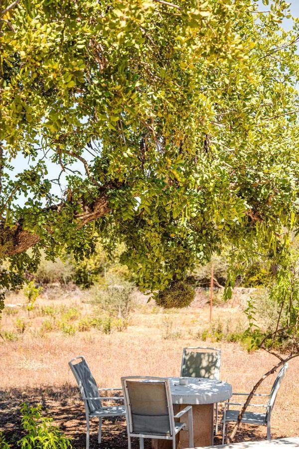 Finca Bassa Serra Сантаньи Экстерьер фото